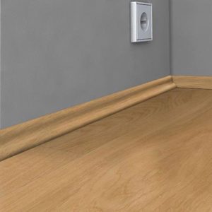 معرفی انواع اسکوتی