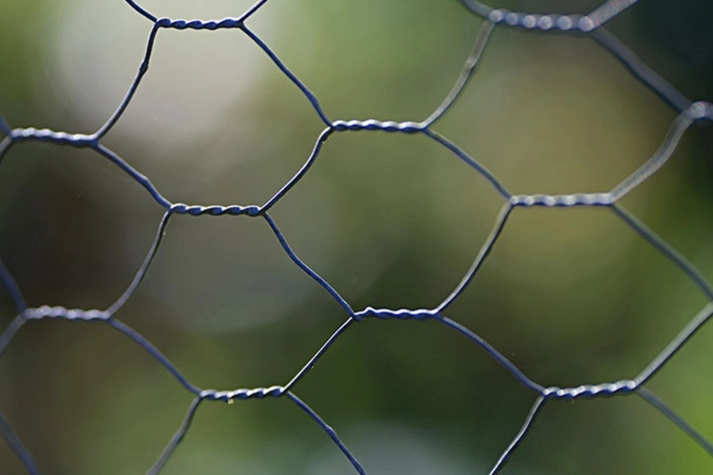 توری مرغی چیست